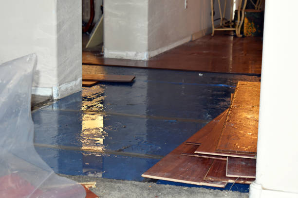 Professional Water Damage Restoration technician working in Huffman, TX